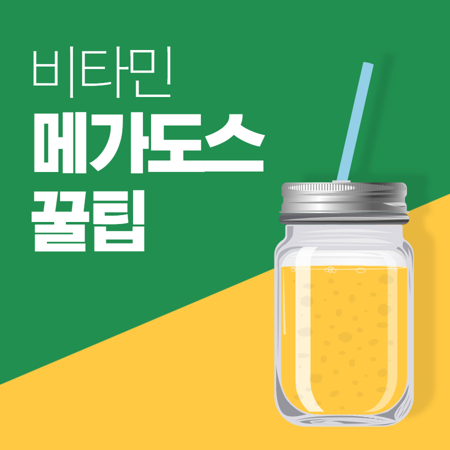비타민메가도스꿀팁