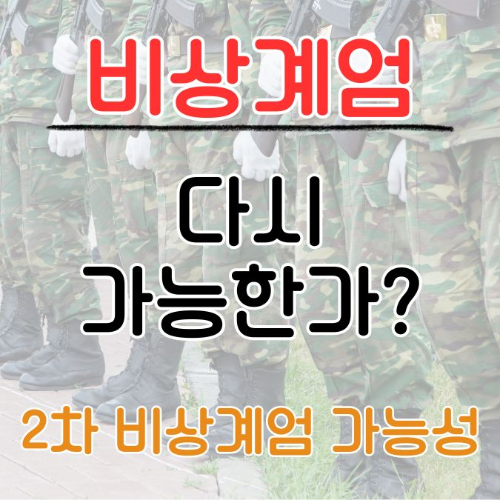 비상계엄, 계엄령, 대한민국 헌법 제77조, 계엄법, 군의 역할, 국회 기능, 국민 기본권 제한, 이동 제한, 언론 검열, 계엄 해제, 국회 마비, 시민단체, 국제 사회, 민주적 대응, 검문소 설치, 공공 안전 유지