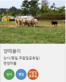 안성팜랜드 체험 목장