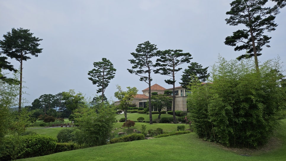 골프장 경험담 여주 세라지오CC 자연 속에서 즐기는 프리미엄 퍼블릭 골프장의 품격