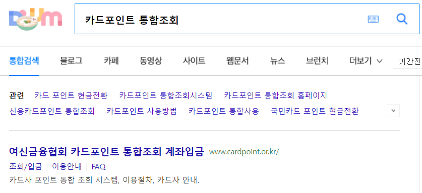 다음포털에서 카드포인트 통합조회 검색하기