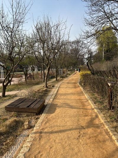 용산가족공원 맨발걷기 후기, 도심에서 만난 걷기 건강길