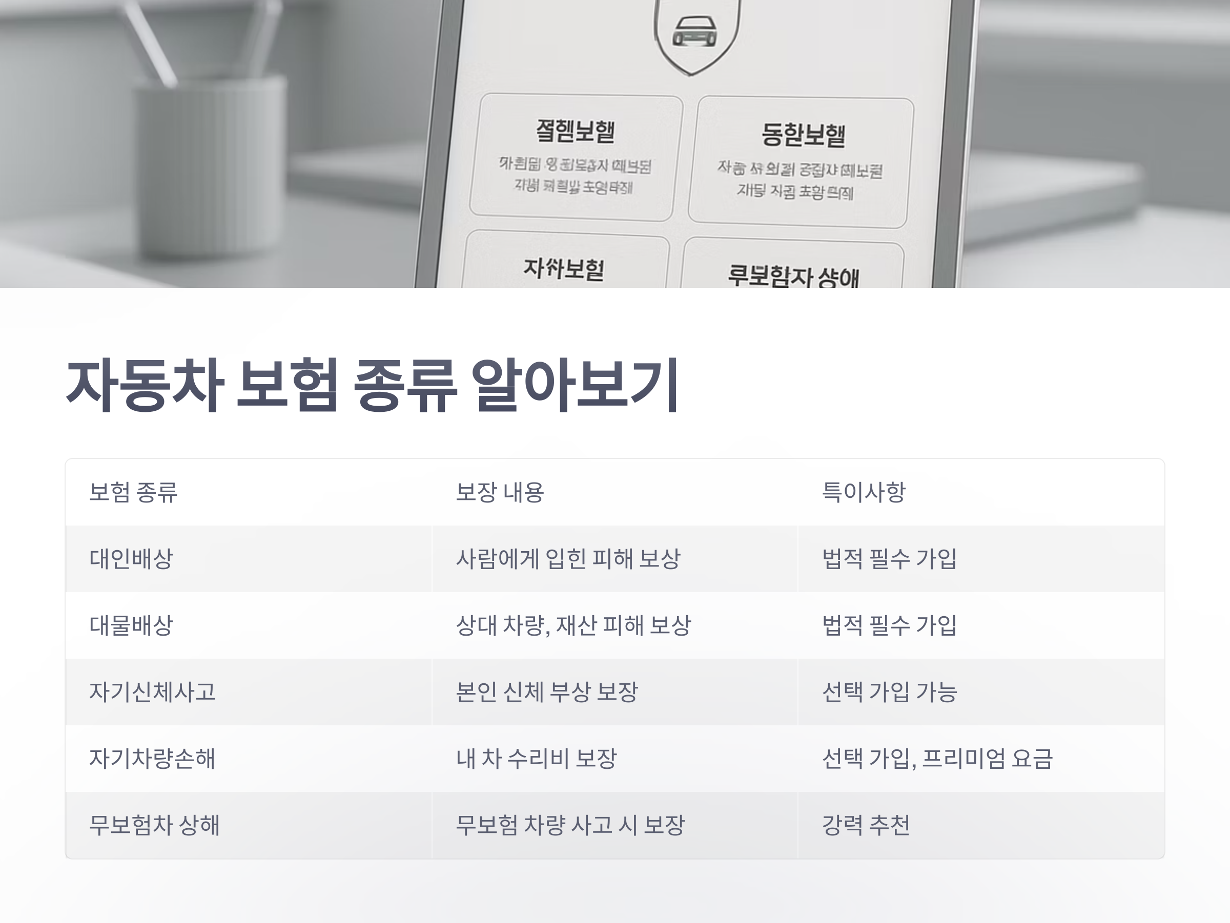 자동차-보험-05