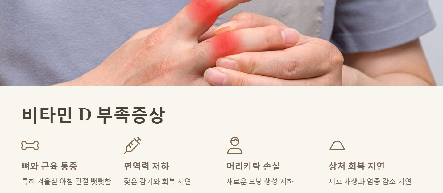 비타민d 부족증상 복용시간