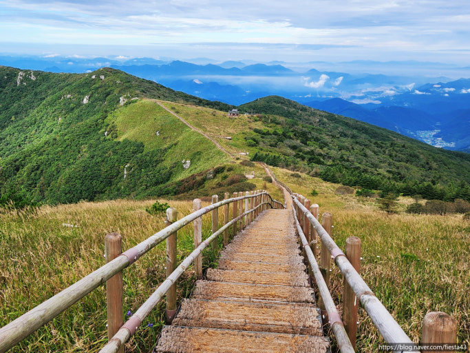 2025 대한민국 숙박세일 페스타, 영주 가을·겨울 여행 - 혜택 총정리 관련 사진