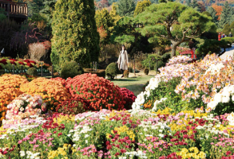 아침고요 수목원