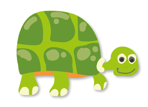 목을 일자로 내민 거북이 그림