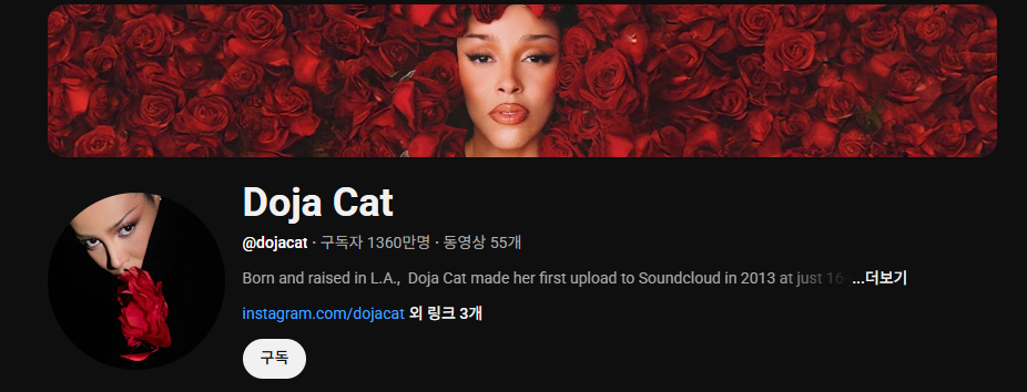 도자캣 내한