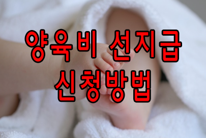 양육비 선지급 신청방법