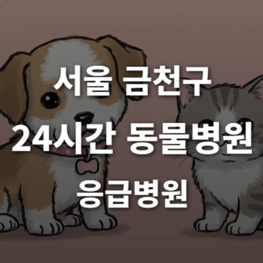 [서울 금천구 24시간 동물병원(독산동, 시흥동)] 반려동물 응급상황 대처 가능한 진료소