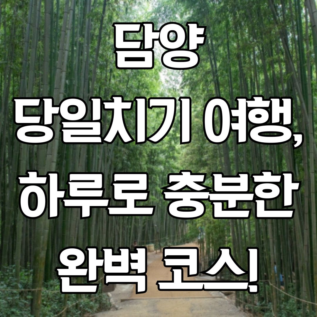 담양 당일치기 여행, 하루로 충분한 완벽 코스!