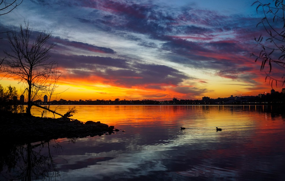 새벽에 운동하는 사람들의 공통된 성공 습관