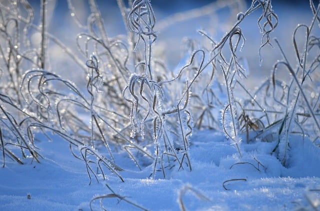 2026년 1월 28일부터 2월 3일까지 날씨 예보