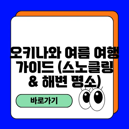 오키나와 여름 여행 가이드 (스노클링 & 해변 명소)