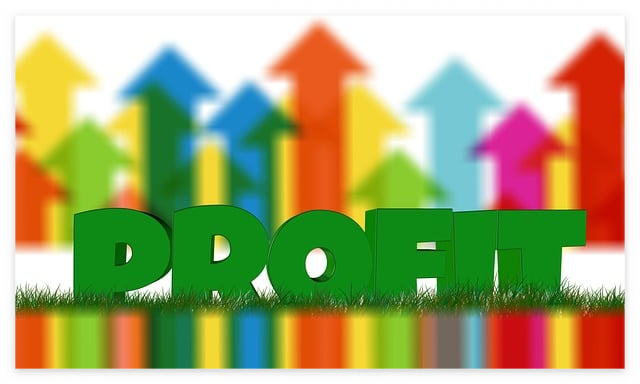 주당 순이익 예시 사진