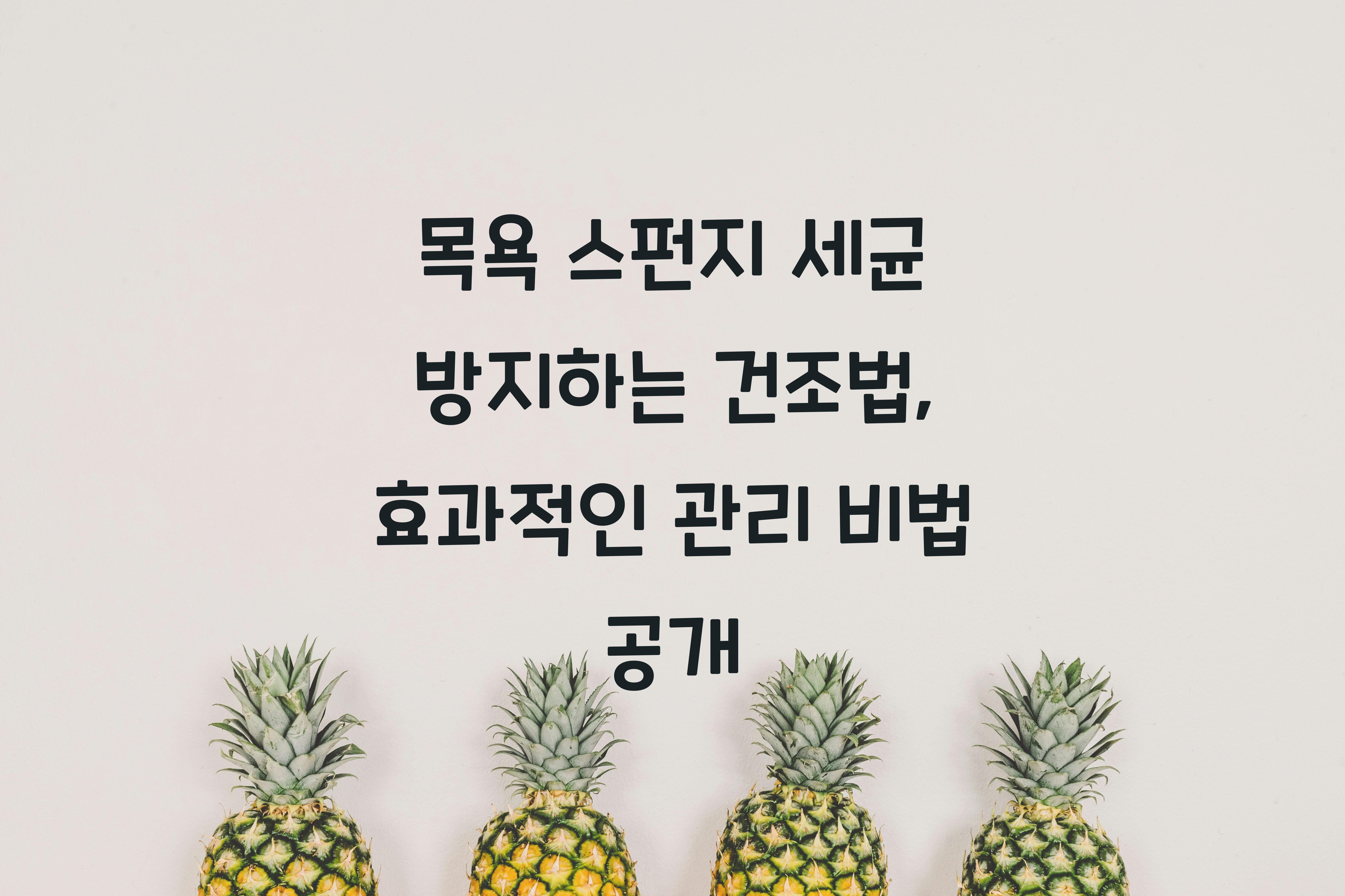 목욕 스펀지 세균 방지하는 건조법