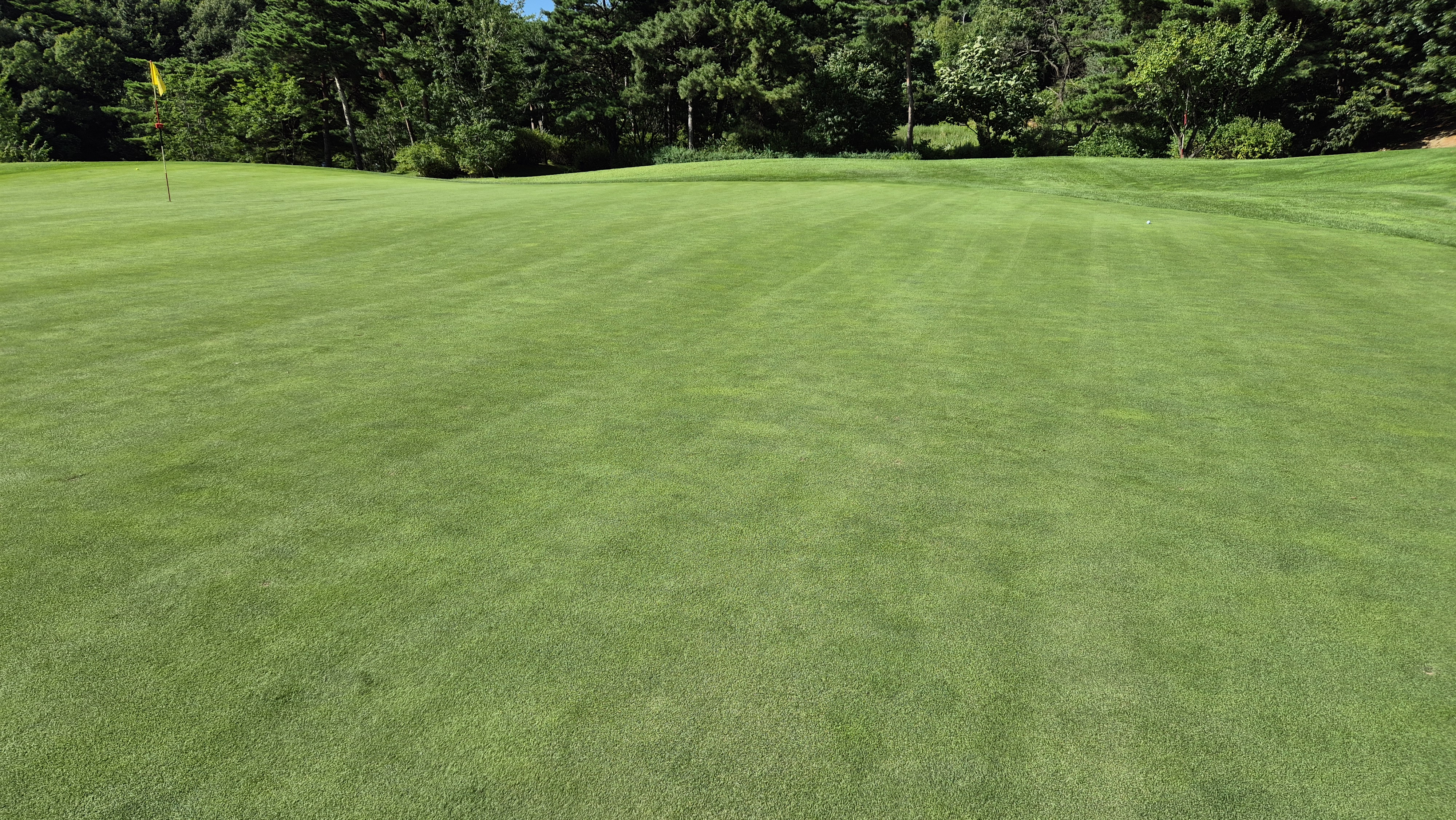 SG 아름다운cc 라운드 후기