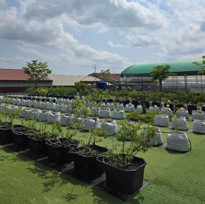 용인 포레스트 벨