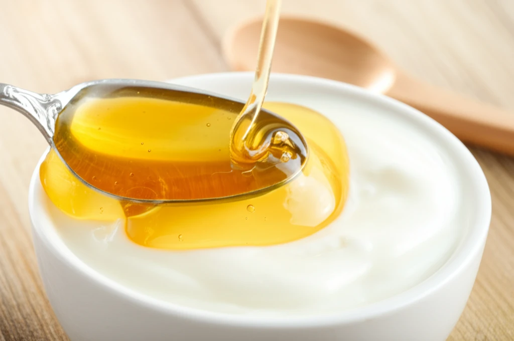 프로바이오틱스 생존율을 높이는 꿀 조