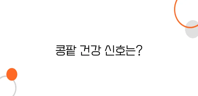 콩팥이 안좋으면 나타나는 증상 알아보아요