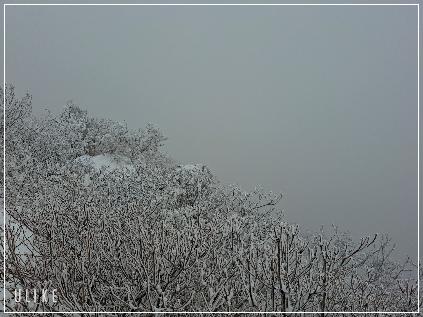 덕유산 눈꽃 축제