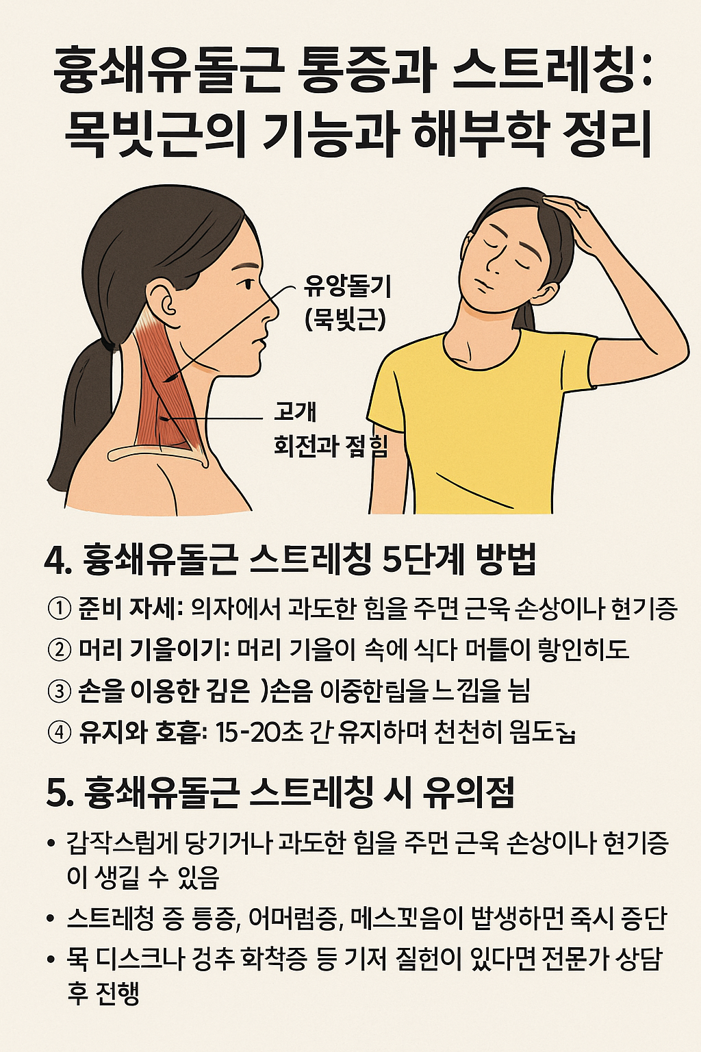 흉쇄유돌근 정의와 스트레칭 안내 사진