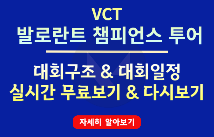 발로란트 VCT 가이드