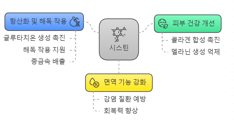 시스틴 효능