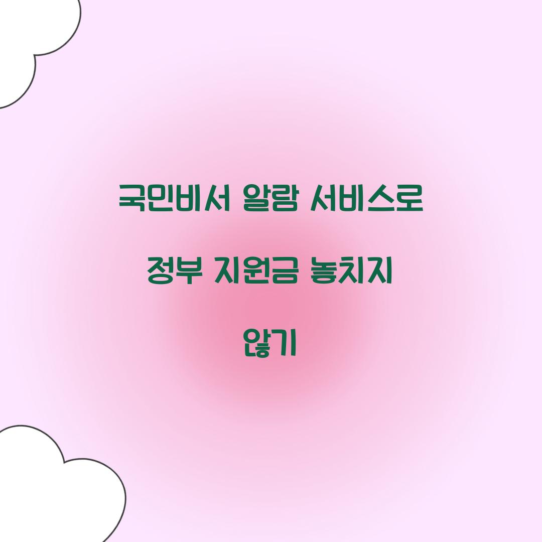 국민비서 알람 서비스