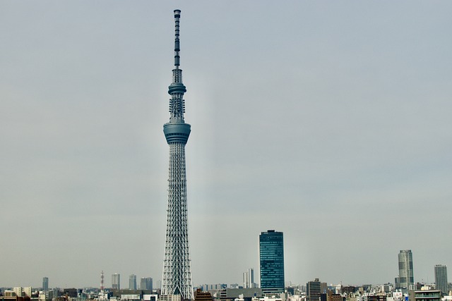 도쿄 스카이트리 전망대 티켓 예매(예약), 가격, 가는법, 영업시간, 맛집(식당)추천 3곳까지 총정리!