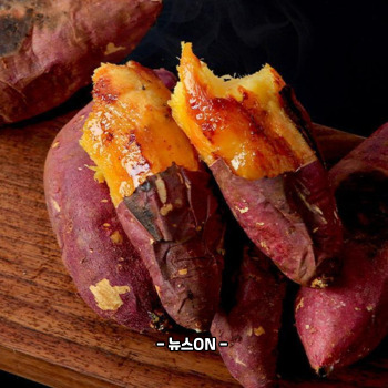 수능 아침에 좋은 음식