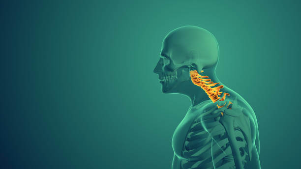 뒷목 땡김 이 있는 두통 여러가지 원인들이 있습니다. 두통이 있을 때 목 뒤가 따끔거리는 느낌이 들고 어깨 승모근이 뭉쳐져있습니다. 근육이완제와 진통제를 자주 복용하고 어깨를 마사지해도 뒷머리가 쪼개지거나 머리 전체가 터질 것 같은 두통이 계속된다면 매우 힘듭니다. 원인이 무엇인지 참고하시기 바랍니다.