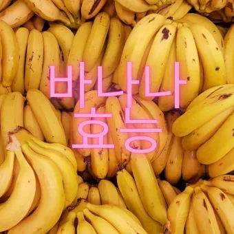 바나나 효능 식이섬유 포만감 운동 전후 효과_17