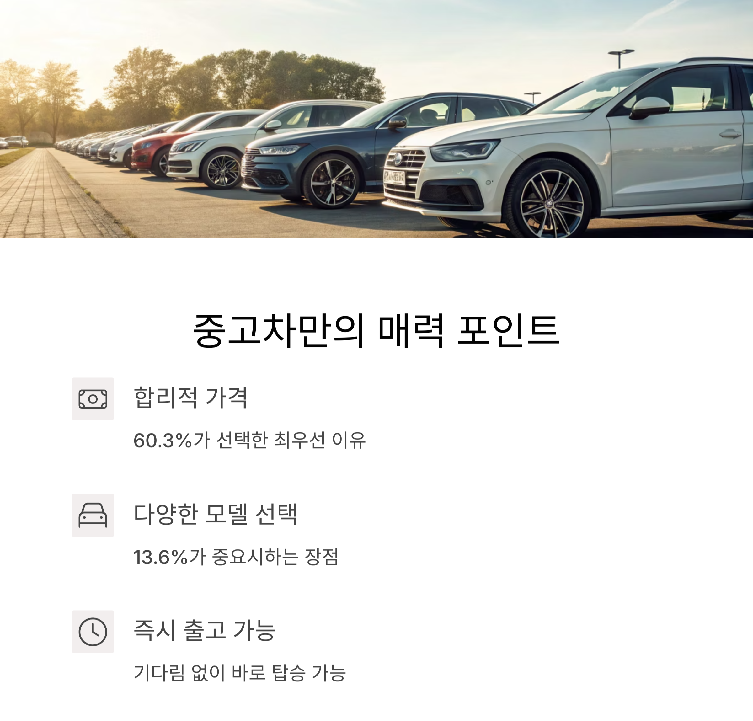 실용성과 다양성, 중고차만의 경쟁력