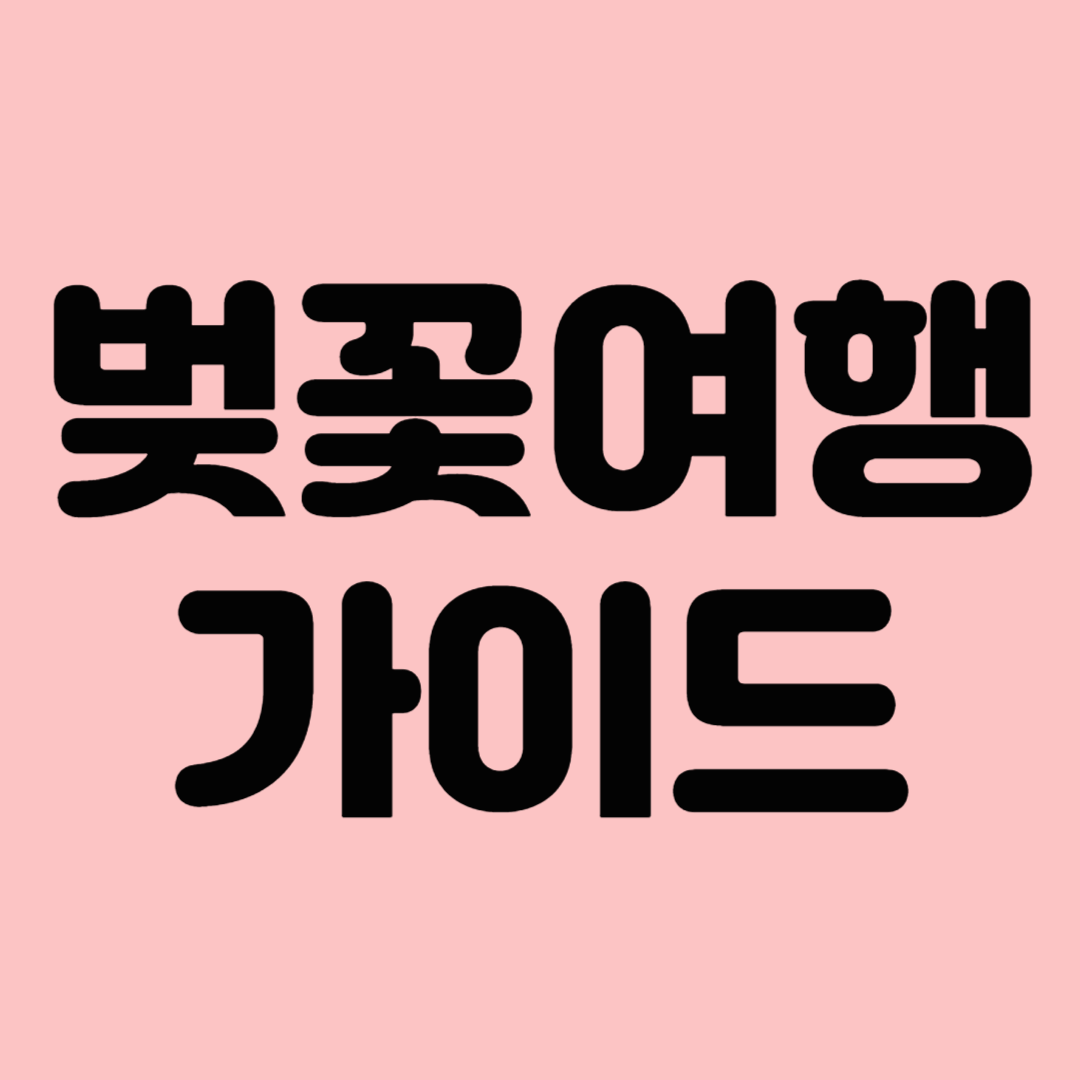 벚꽃여행 가이드