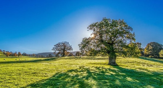 [주택도시기금대출] 국민은행 버팀목 전세자금대출 - 금리 및 이율&#44; 신청자격&#44; 조건&#44; 대출기간 및 상환방법&#44; 한도&#44; 대상주택