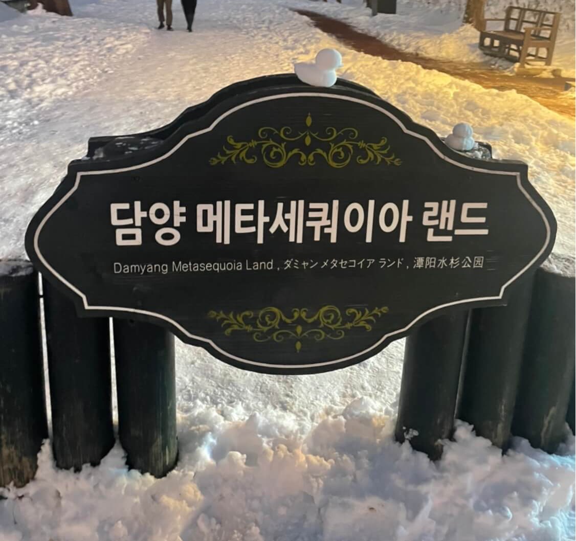 담양 메타세쿼이아 랜드