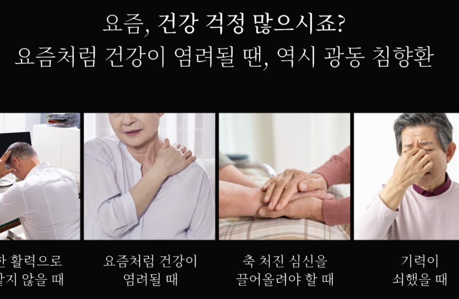 광동 침향환 가격