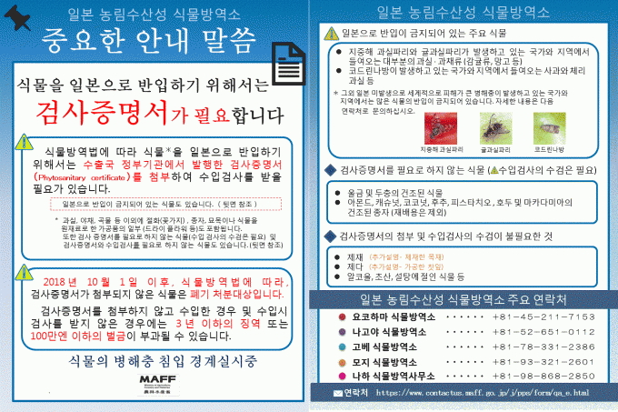 대마도 입국 반입금지품목 완벽정리