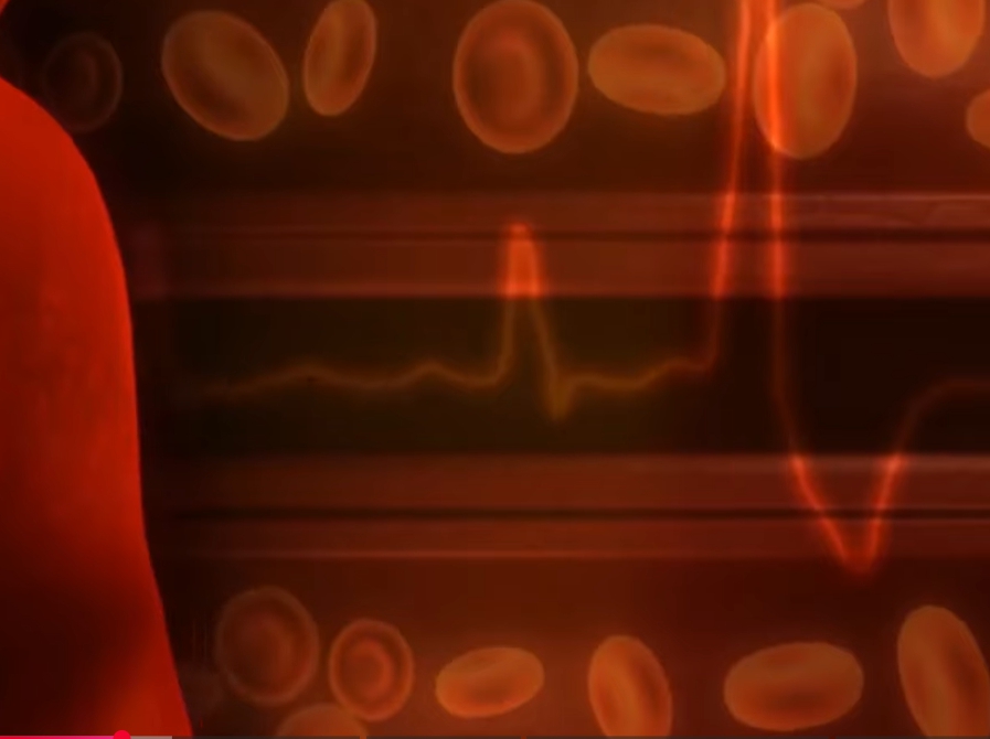 노니 효능 부작용