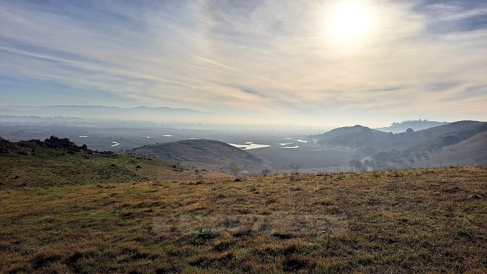 Coyote Hills Regional Park