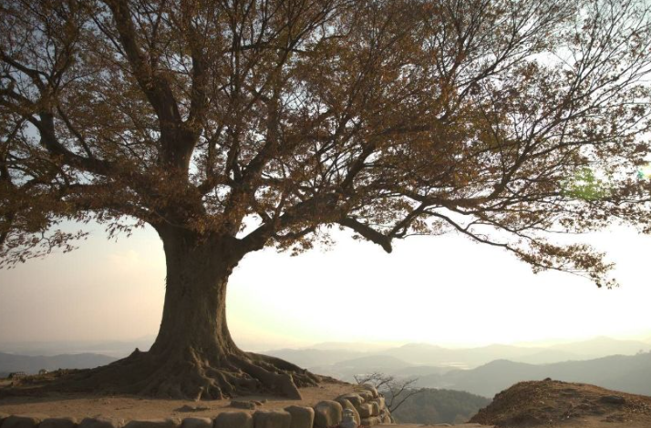 부여 가볼만한곳 베스트10