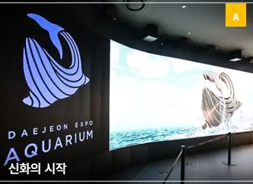 대전-신세계-아쿠아리움-입장료-할인-운영-시간