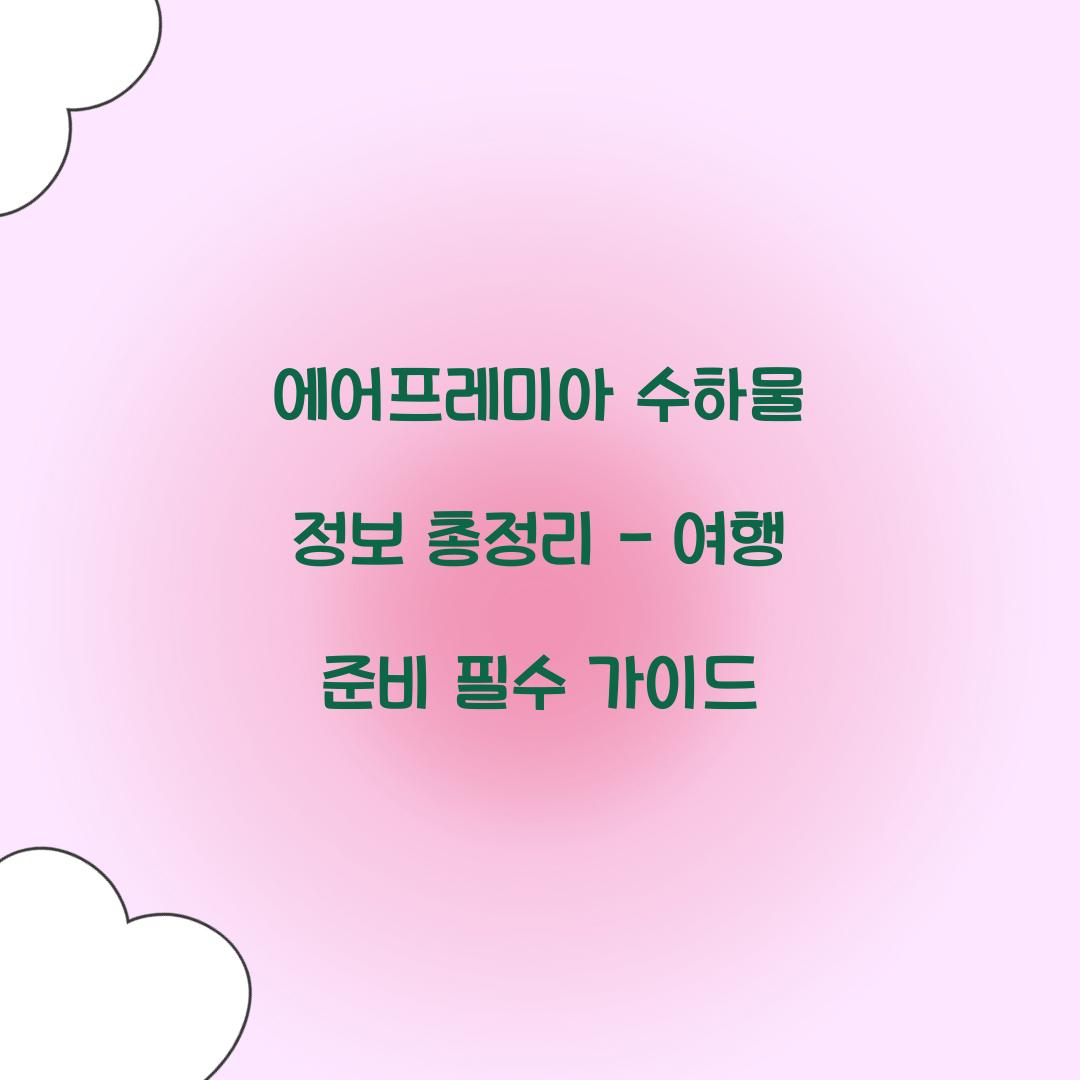 에어프레미아 수하물