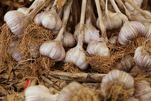 대장에 좋은 음식21