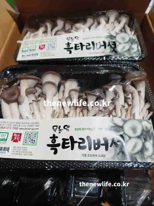 느타리버섯 효능 식물성 기름
