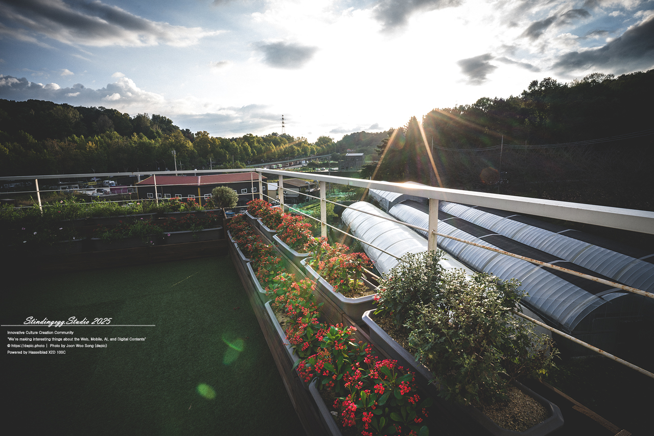 #청주 #카페 #카페멜