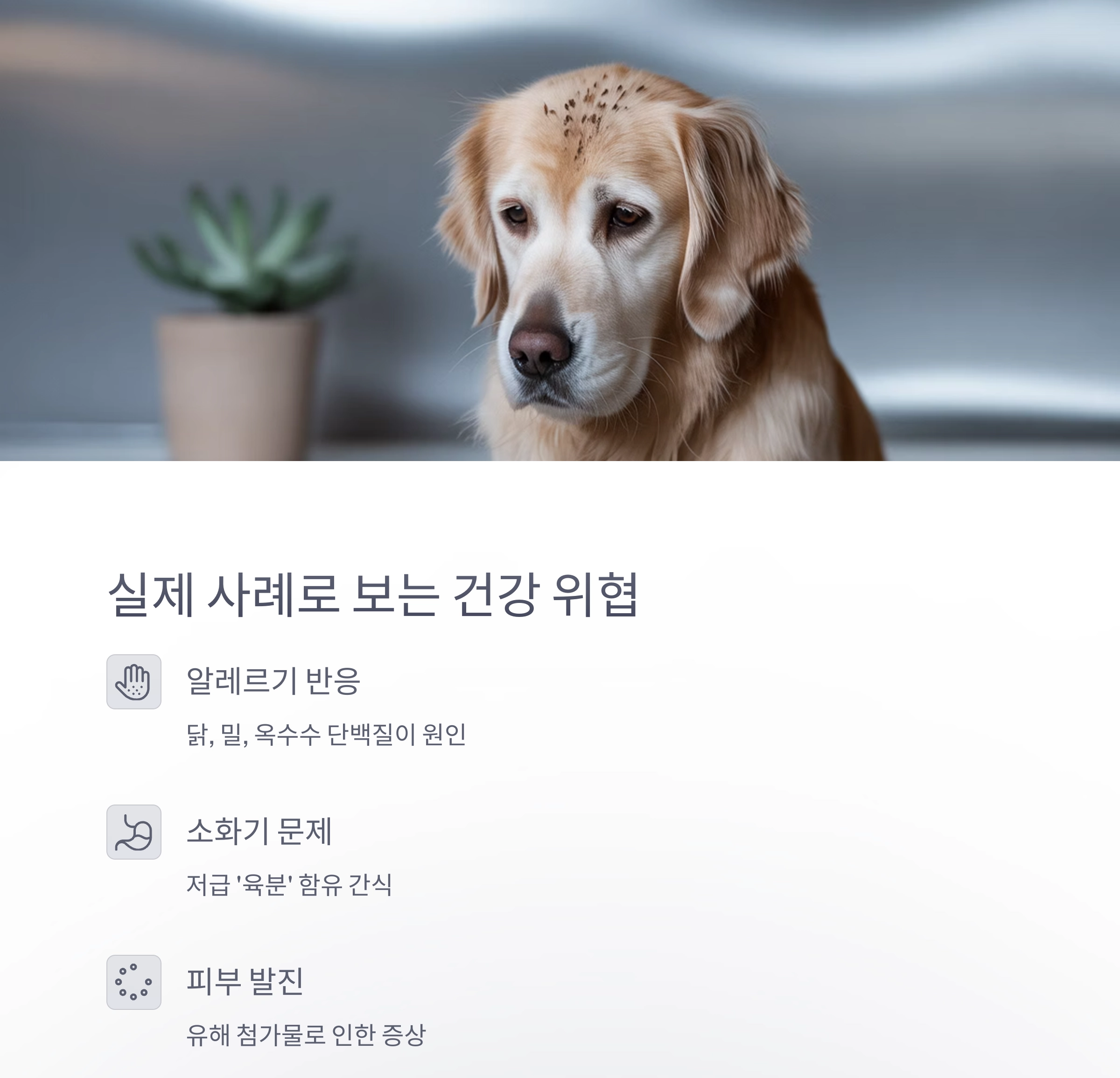 반려동물 건강 지키는 첫걸음, 간식 원재료 확인은 필수