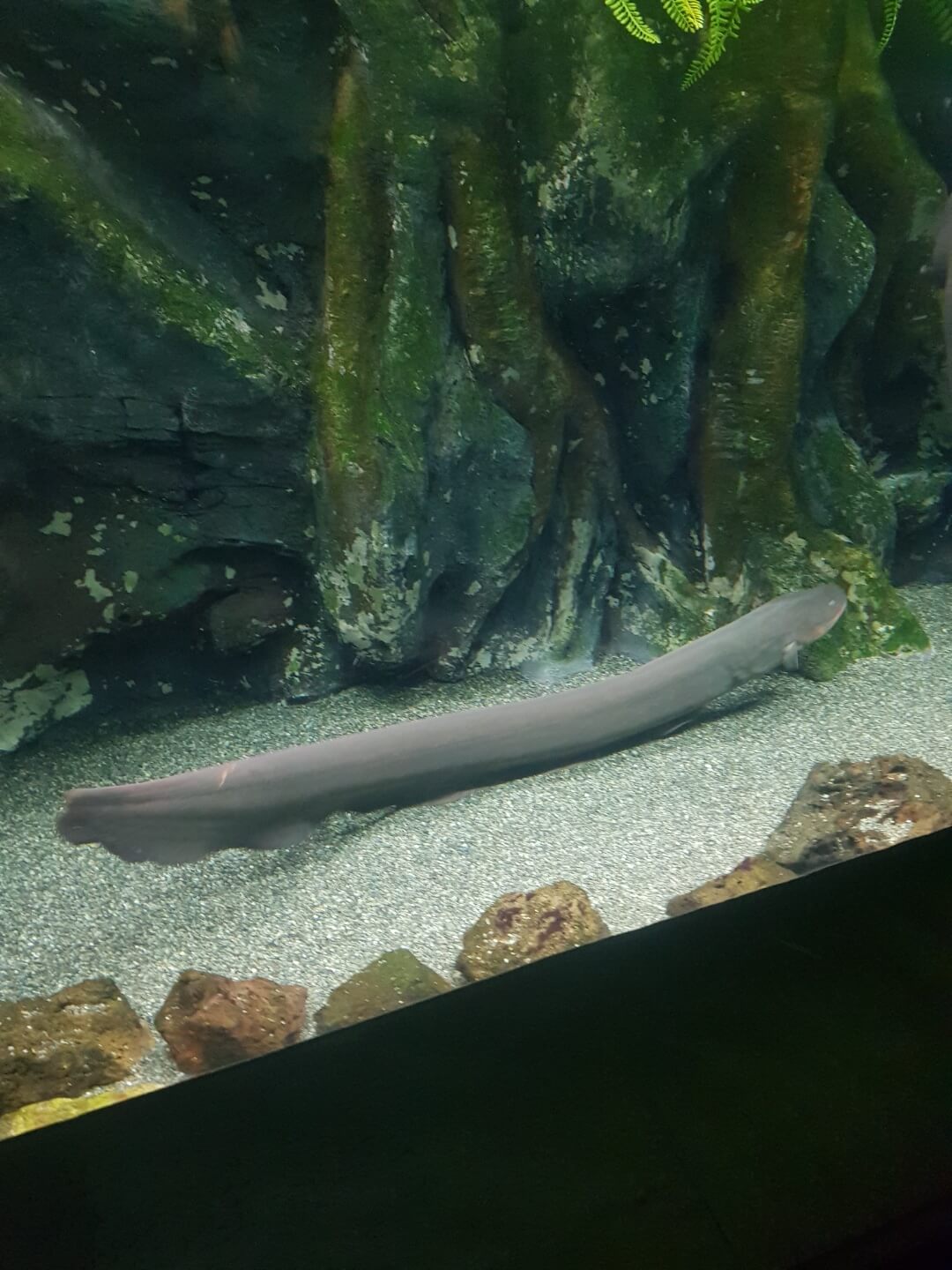 송파구 잠실 놀거리 롯데월드 아쿠아리움 위치 리뷰