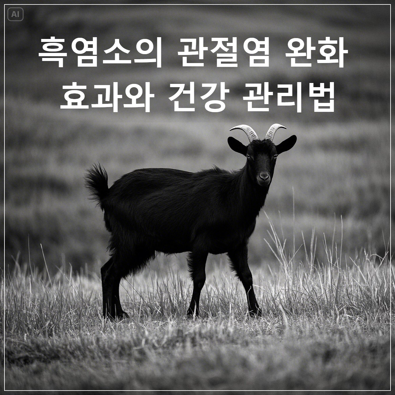 흑염소의 관절염 완화 효과와 건강 관리법